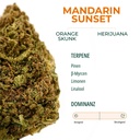 TRUU 21/1 Mandarin Sunset