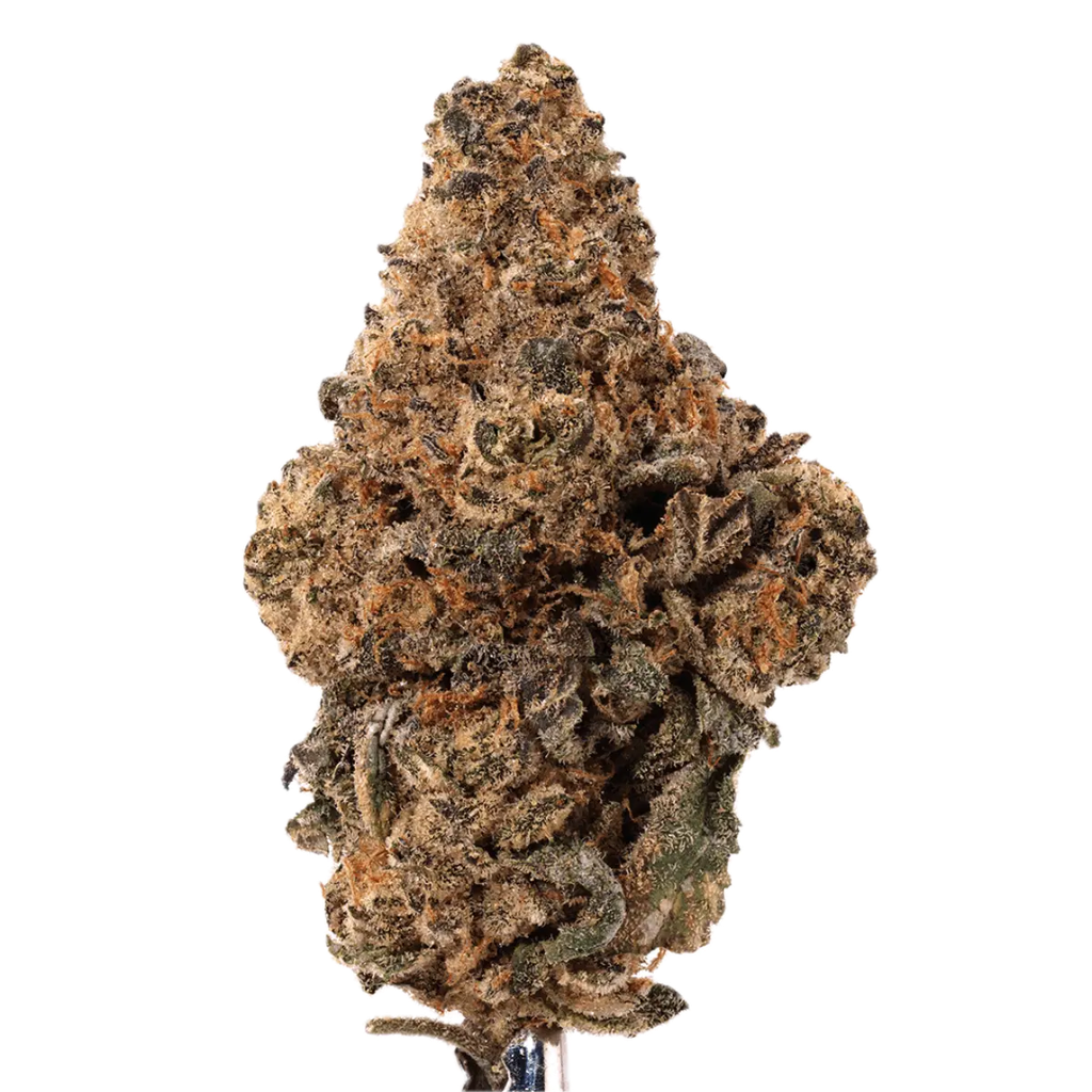 Canify 27/1 Super Squishee