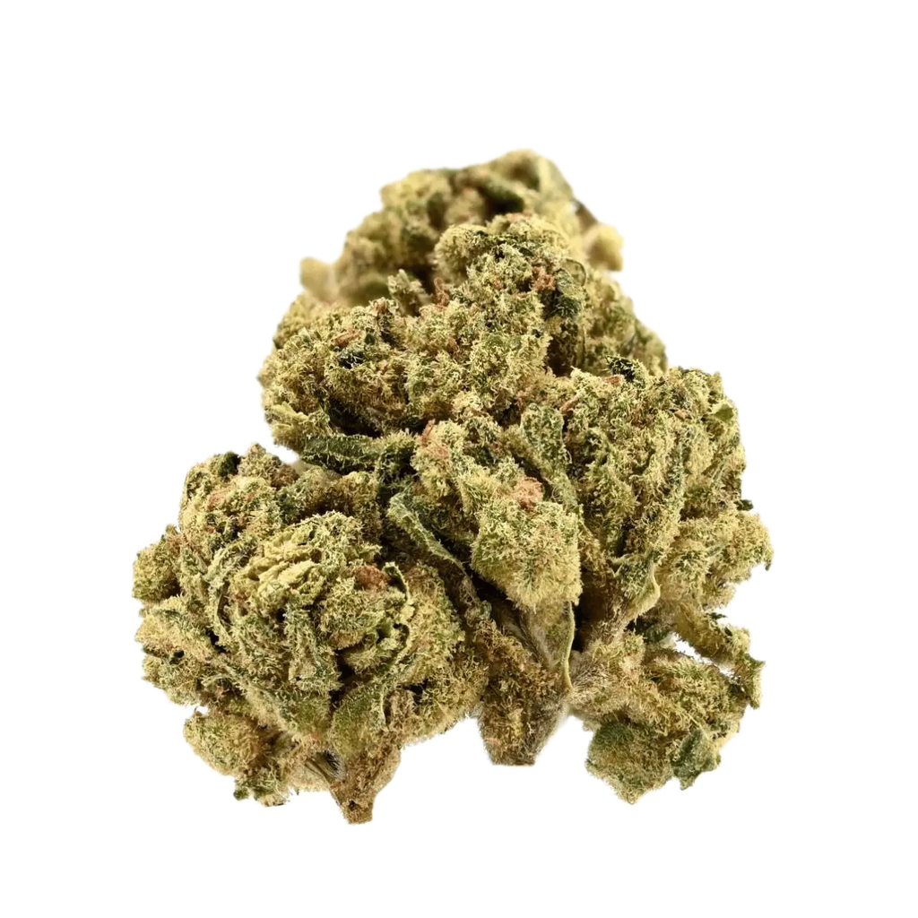 TRUU 26/1 Citron Cookies