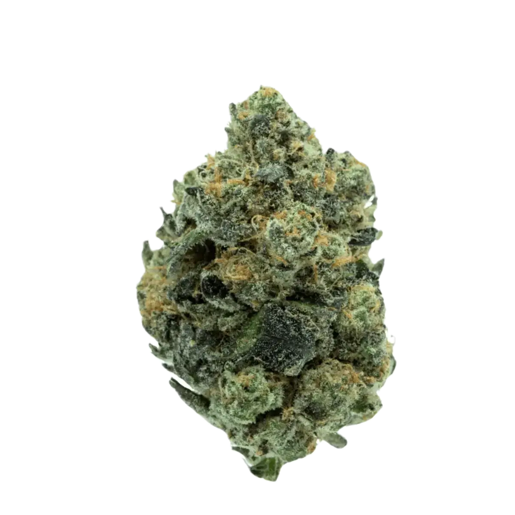 TRUU 28/1 Cookies OG