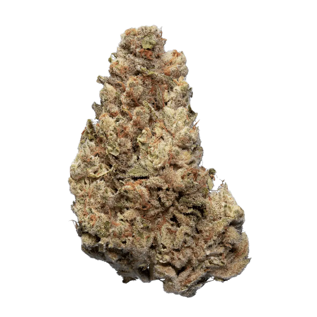 Enua 25/1 Cold Creek Kush