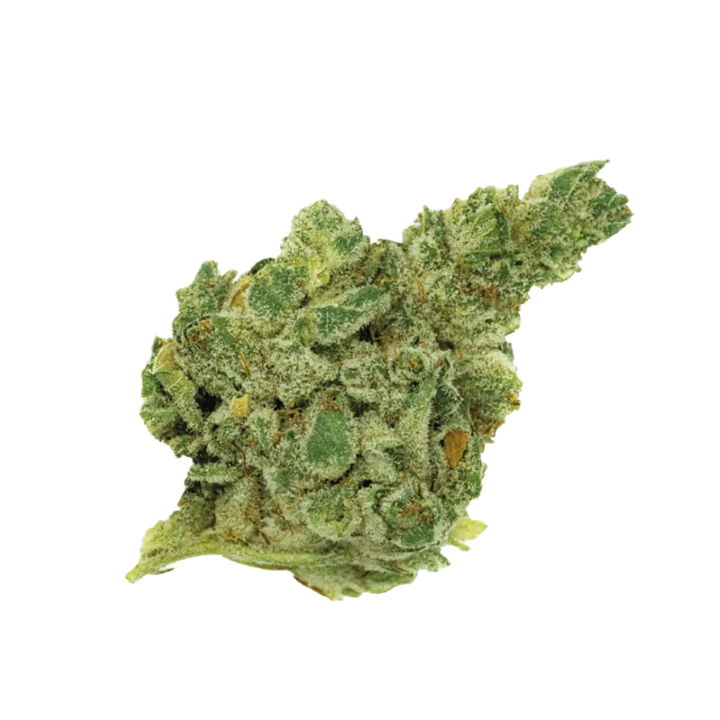 Four20 20/1 Gorilla Glue