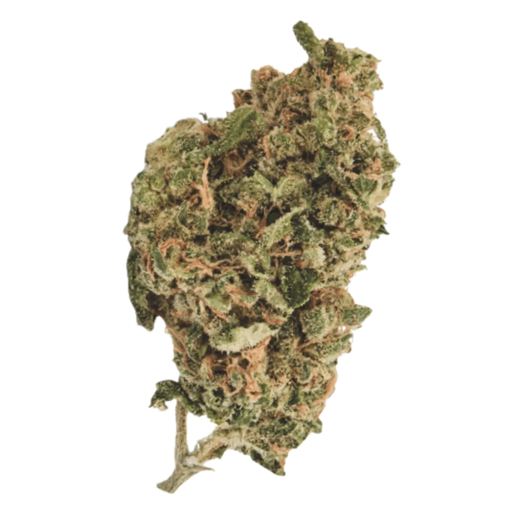 Four20 22/1 Zour Apple