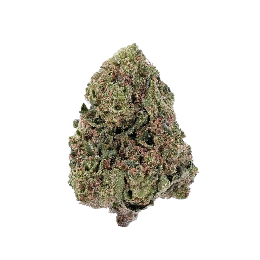IMC 26/1 FAC Tangie Pave