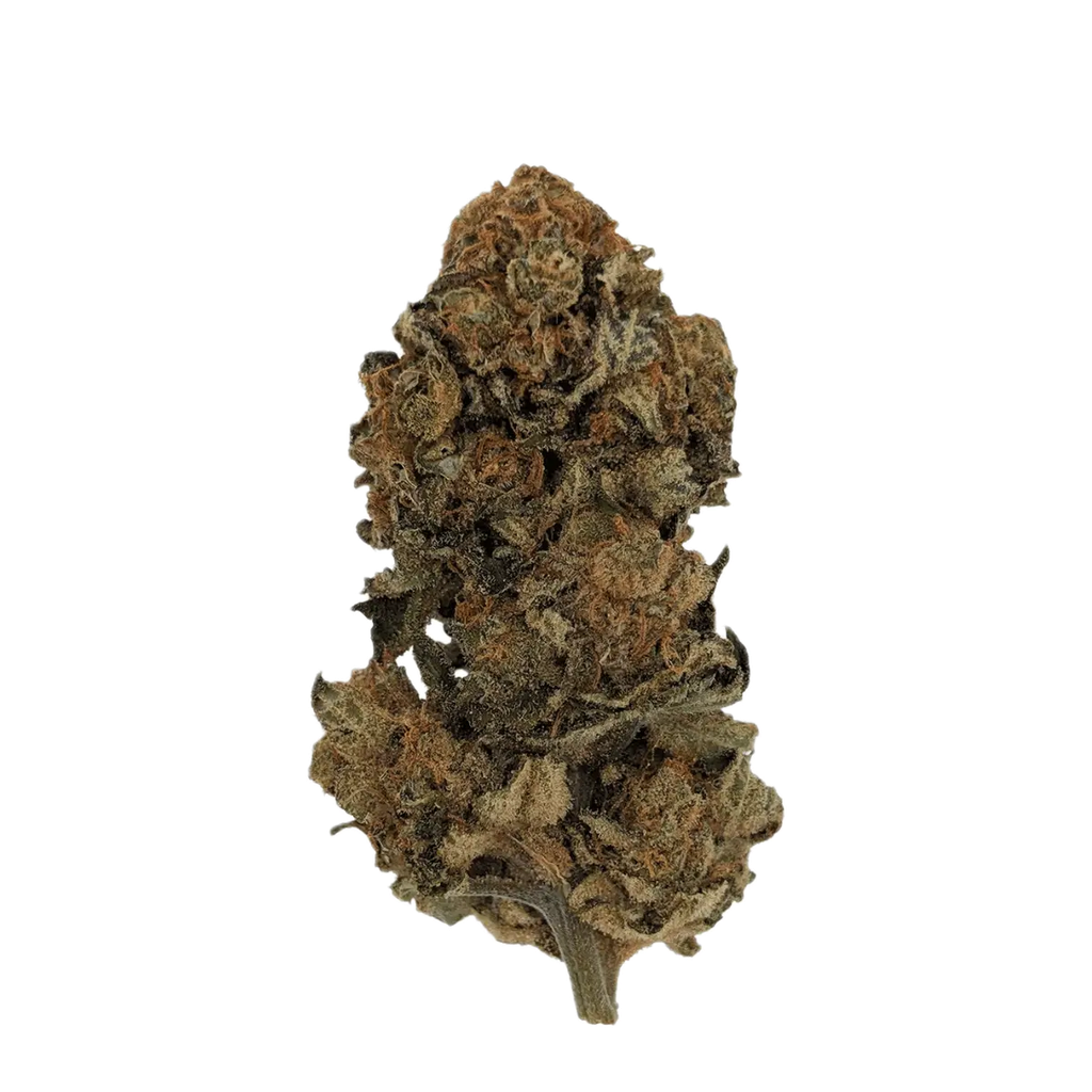 Sibanax 28/1 SHB Shishkaberry