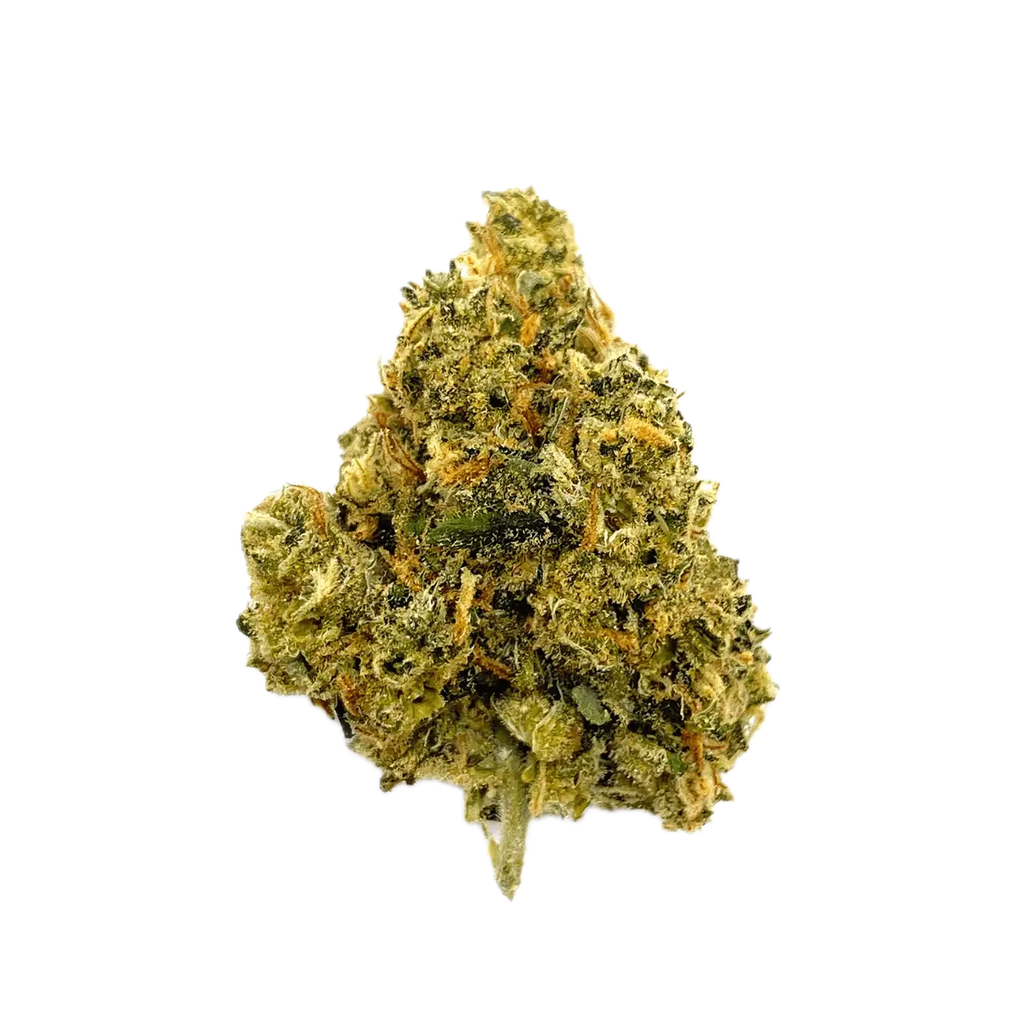 Bedrocan Cannabis Flos 22/1 Jack Herer