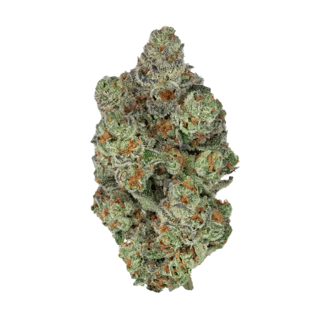 CRAFT Botanics 30/1 Mimosa