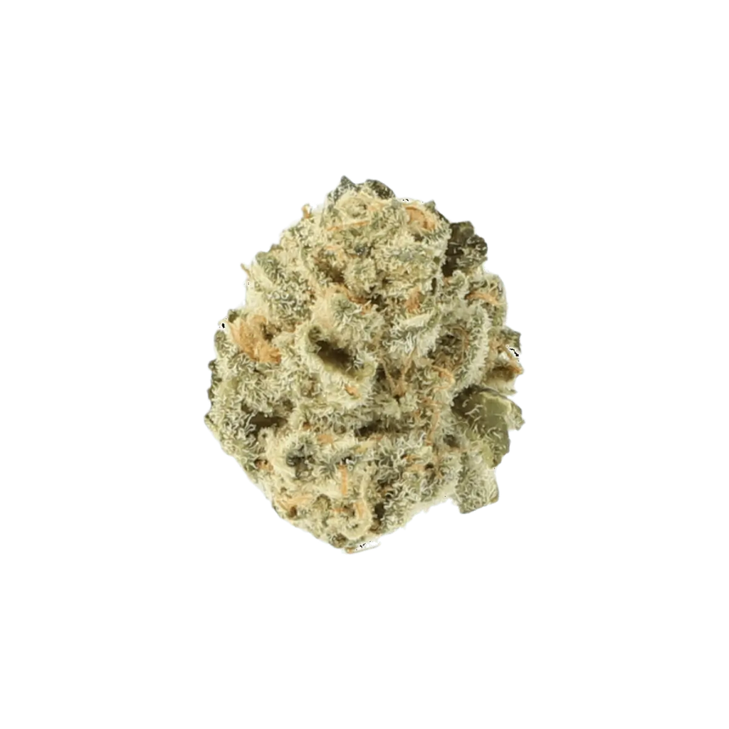 Cannamedical 24/1 Indica Forte-El Jefe