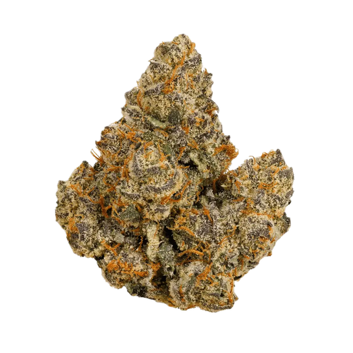 Bathera 28/1 FacetZ