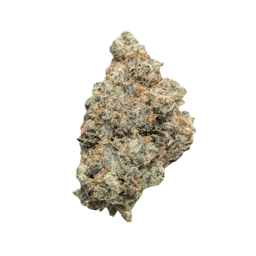 Bathera 33/1 Polar Pop