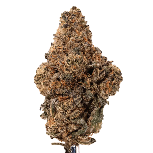 Canify 27/1 Super Squishee