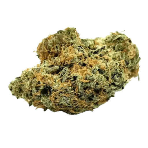 Nimbus-EASY 30/1 LA Sage