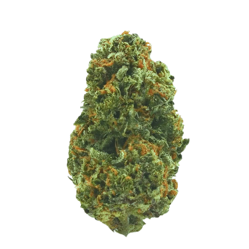 Remexian 30/1 Apple Fritter