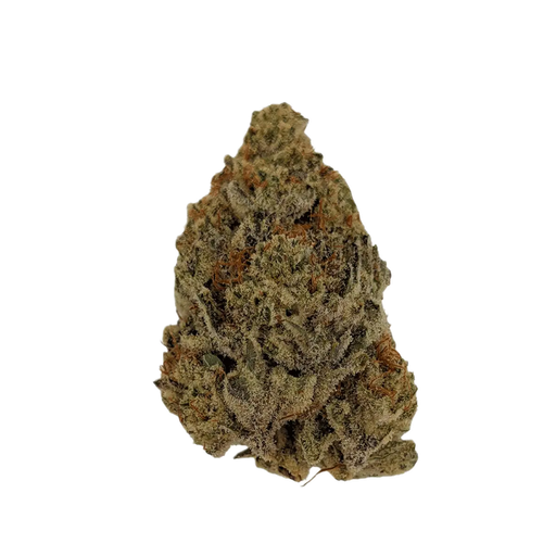 Sibanax 28/1 MCF Hybrid