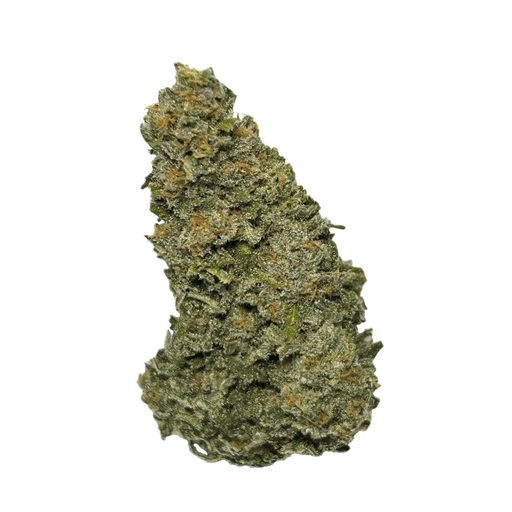 Wellford 23/1 Ghost Train Haze