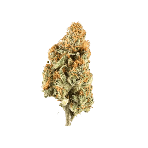 Zoiks 31/1 OG Lime Kush