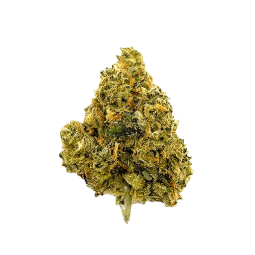 Bedrocan Cannabis Flos 22/1 Jack Herer