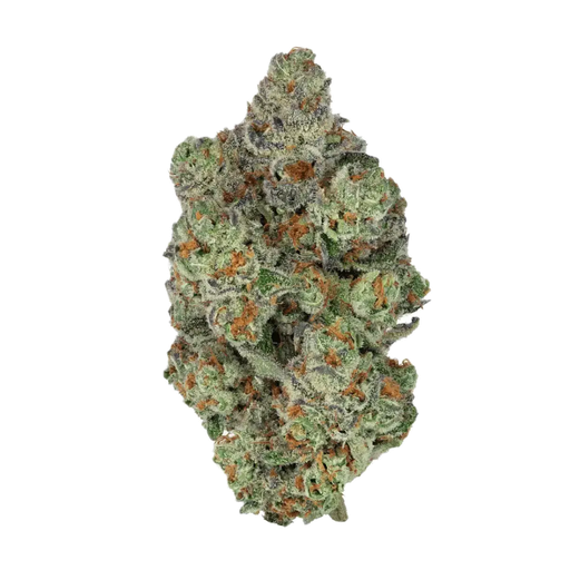 CRAFT Botanics 30/1 Mimosa