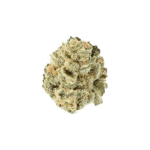 Cannamedical 24/1 Indica Forte-El Jefe