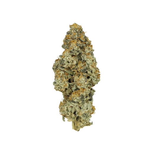 Cannamedical 27/1 Platinum Orange
