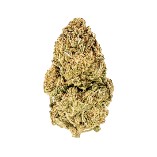 IMC 24/1 BLK MLK